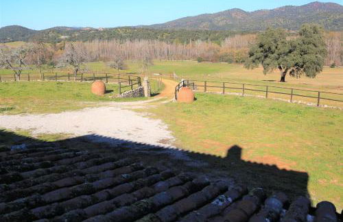 Villa Escutia - Photo 4