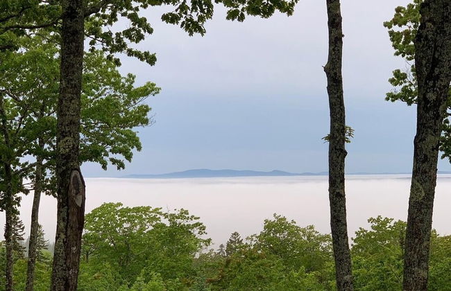 Simplify - New Offering 2023! - Foto 17