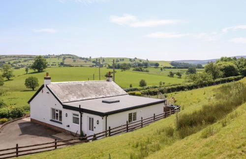 Bryn Bras - Photo 43