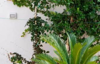 Aurora e Alba - Foto 34