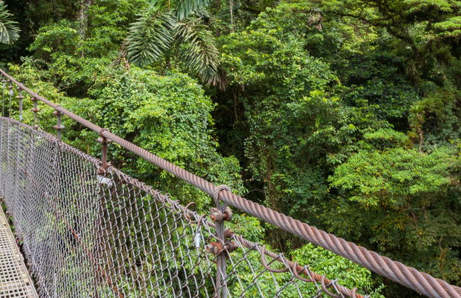 Entrada al Mistico Arenal Hanging Bridges Park - Foto 1