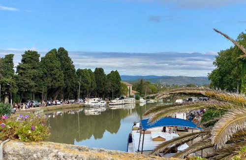Maison du Midi, 2 Gîtes de charme - Foto 65