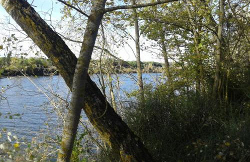 PINAR DE LAS CABAÑUELAS - Foto 50