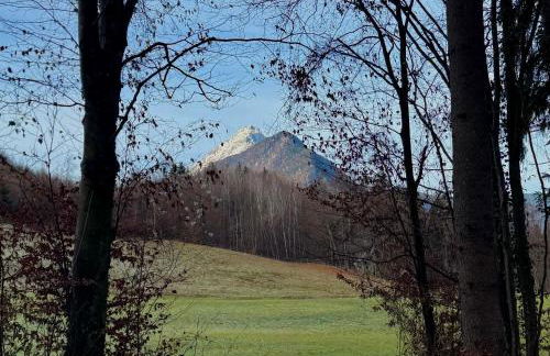 Römer Appartement mit sonniger Terrasse - Photo 20