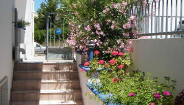 Casa Baia Rosa - Foto 5, Garden