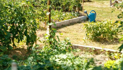 L'Envol - Oasis Ressource - Foto 2