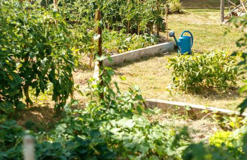 L'Envol - Oasis Ressource - Foto 2