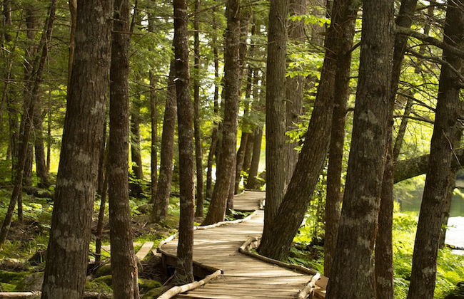 Mersey River Chalets a nature retreat - Foto 36