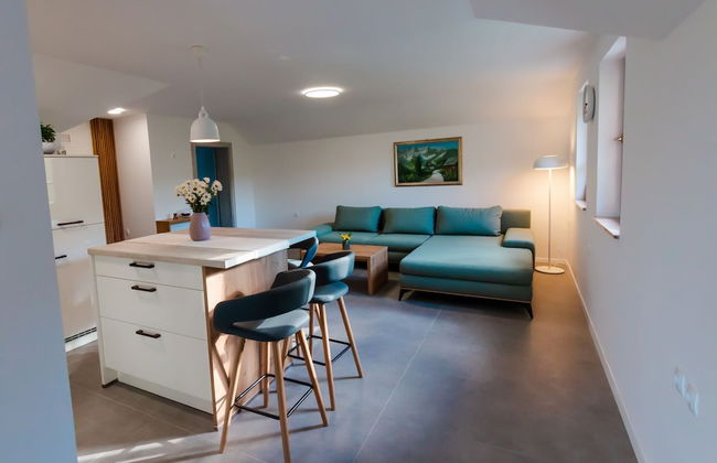 Vineyard cottage Radulja - Photo 4