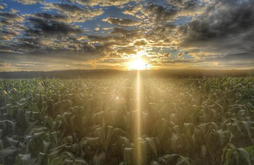 Emyda' s Tropical Home at Goldsteig trail - Foto 16