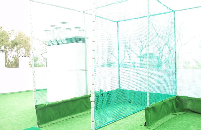 Avutarda de Carilo - Photo 62