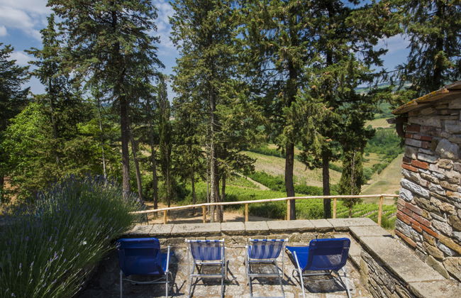 Le Bonatte - Foto 22