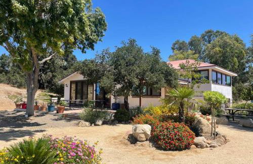 Hilltop Vineyard and Agave Field with View - Photo 6