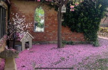 Piglet Cottage - Foto 8