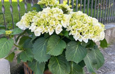 Seosko Imanje Na Obali Rijeke - Foto 14