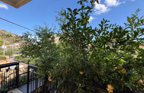 appartamento in villa a Pietragrande Villa Mi Vida - Photo 37