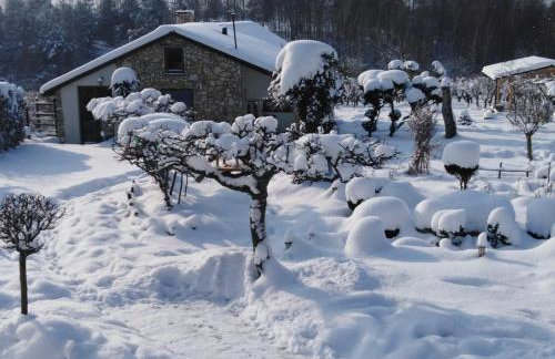 Czytelnia w Sadzie - Foto 43