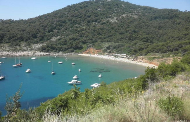 Apartment in Dubrovni With Garden - Foto 38