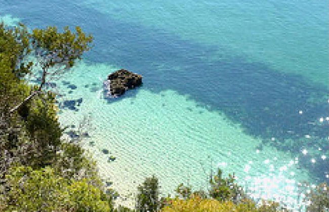 Villa Of Cedars Spirit, Garden Pool - Foto 49