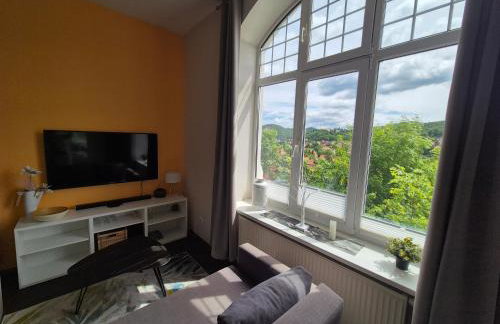 Apartments Villa-Ratskopf Wernigerode - Photo 151