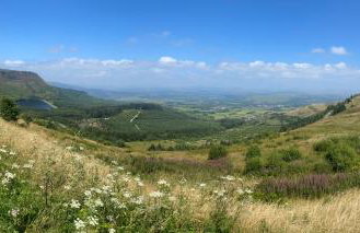 Herbert Place - Foto 37