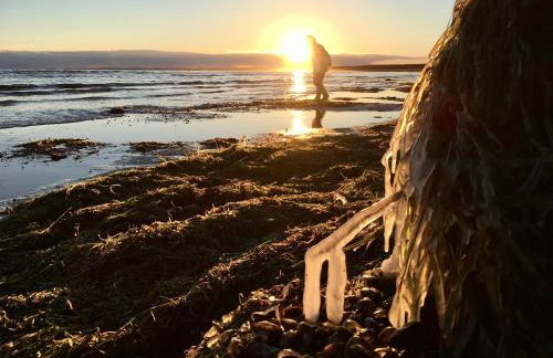 ILEX Appartements - Foto 36