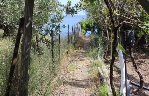 Aaron Apartments - Foto 23