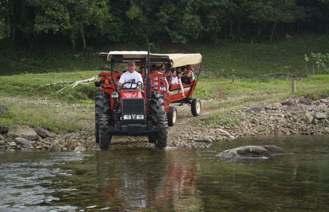 Tour rural por Joinville - Foto 5