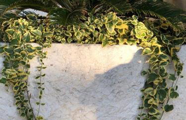 Villa Lucia - Foto 23