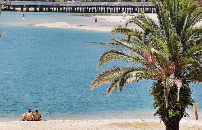 Little Palms by Burleigh Letting Co - Photo 41