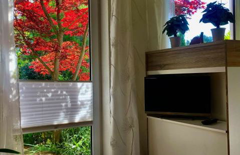 sonnige Idylle - Foto 1