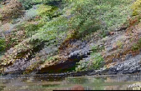 El Bosque de las Viñas - Foto 56