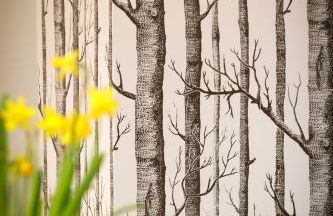 Stadtnest Malchow - für 2-12 Personen in der Inselstadt - Mecklenburgische Seenplatte - Foto 39