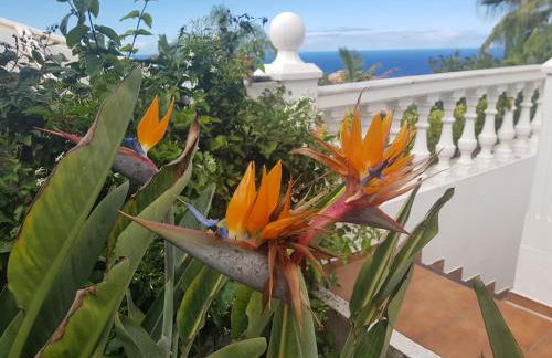 Villa Larnia de Tenerife - Foto 52