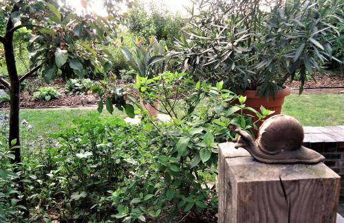 Kaszubiana direkt in der Natur - Photo 34