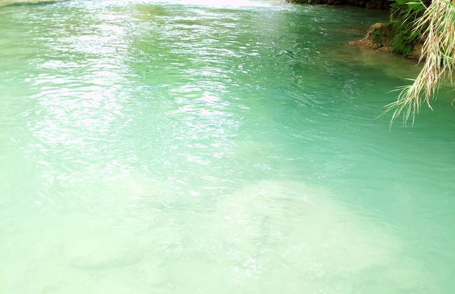 Room in Cabin - Cozy Sierraverde Cabins Cabana la Ceiba - Foto 8