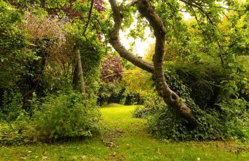 Blackbird Cottage - Foto 24