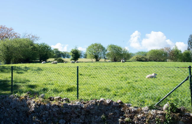 Plan Piraguas - Foto 21