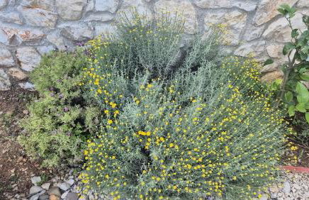 Bonvivan House - Photo 26