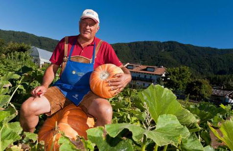 Appartementhaus Lechnerhof - Foto 11