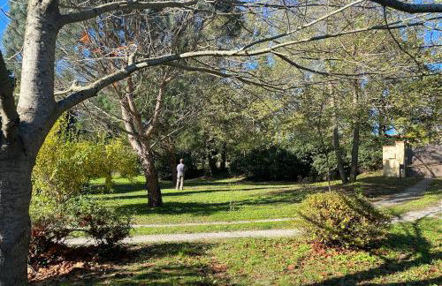 Borie Grande - Foto 29