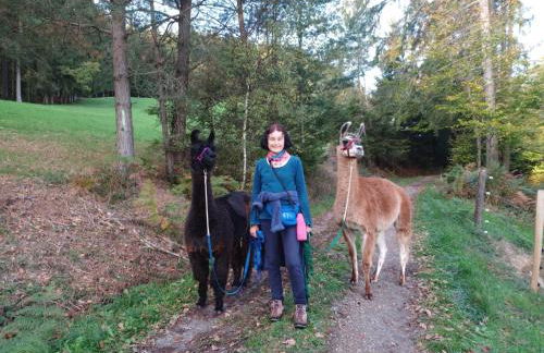 ruhiges Wohnen am Lama und Maine Coon Hof in Alleinlage in Biederbach 3 Zimmer mit Kochgelegenheit Bad - Foto 20
