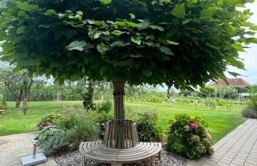 Inselperle - Foto 20