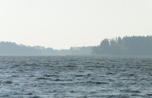 Stajnia Lisewo - Foto 27