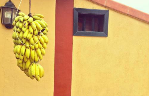 FINCA LA PLANTACIÓN _Agroturismo - Foto 39