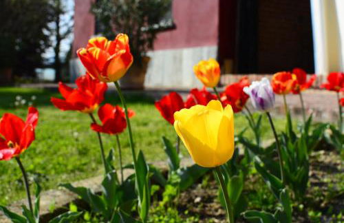 Agriturismo Tenuta Polledro - Photo 10