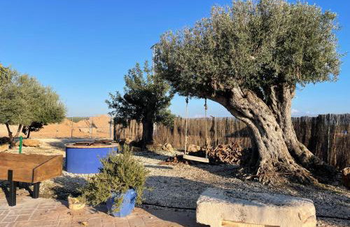 La casa del olivo - Foto 26