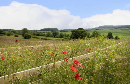 Willow Cottage - Foto 35