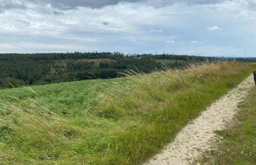 Landhof PAU - Foto 16