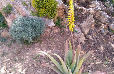 Roussa's House - Foto 49